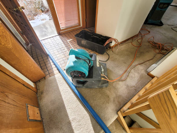 Best Plumbing Leak and Burst Pipe Cleanup in Denison, IA