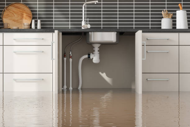 Best Mold Prevention and Remediation in Denison, IA